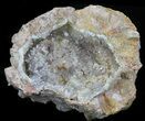 Crystal Filled Dugway Geode #33186-2